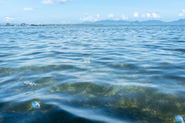Floating pieces of plastic are scattered across the clear waters of a sea, reflecting sunlight under a bright blue sky with distant mountains enhancing the natural beauty.