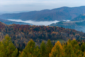 Jesienny widoki, Dolina Popradu, Małopolska, Poland
