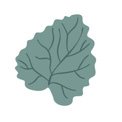 Obraz premium Heuchera leaf isolated on white background. Stylized foliage plant. Vector hand drawn illustration