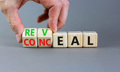 Reveal or conceal symbol. Businessman turns wooden cubes and changes word Conceal to Reveal. Beautiful grey background, copy space. Business reveal or conceal concept.