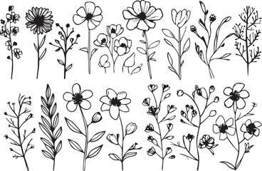 Set Flowers. Hand drawn vector illustration
