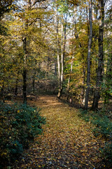 Fototapeta premium Seasonal natural scene, Tribec mountain range, Slovakia