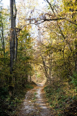 Seasonal natural scene, Tribec mountain range, Slovakia