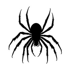 Spider Silhouette.