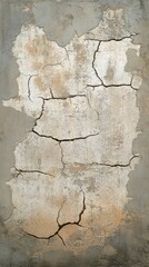 A cracked and weathered wall surface, showcasing peeling paint and structural damage.