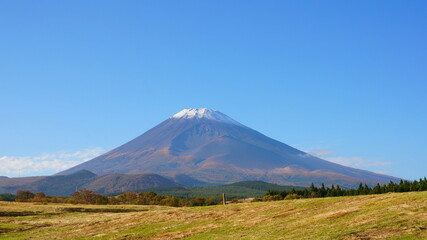 紅葉の富士山