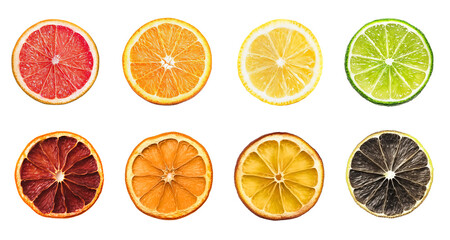 Dried and fresh citrus fruit wheel slices PNG set, cutout isolated on transparent background. Grapefruit, orange, lemon, lime cocktail garnish decoration graphic resource