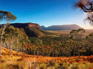 Fototapeta premium autumn landscape