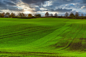landscape with field