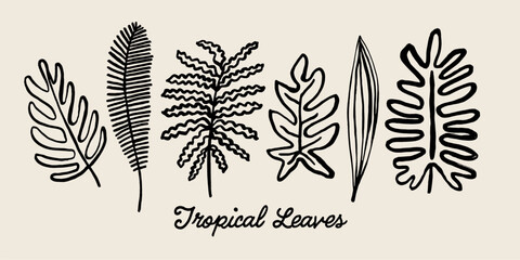 Black ink tropical palm leaves collection. Dry brush hand painted exotic jungle leaves set, subtropical plants sketch.