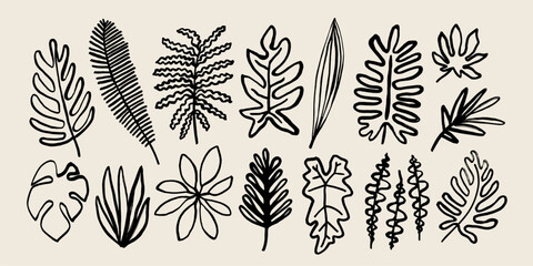 Black ink tropical palm leaves collection. Dry brush hand painted exotic jungle leaves set. Abstract safari leaves. © Olga