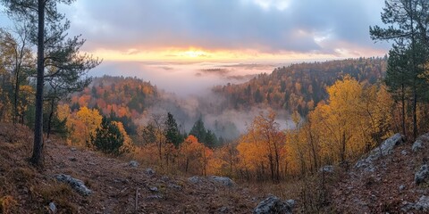 Stunning autumn forest with golden and orange trees on a mountain slope