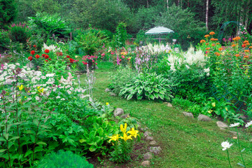 Blooming summer country garden with perennial bushes and flowers.
