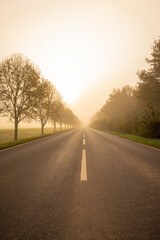 Fototapeta premium Nebel im November im Herbst bei Sonnenaufgang