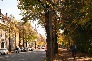 autumn in the urban environment