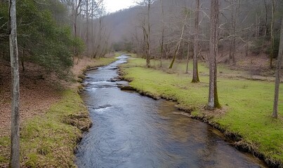 A quiet stream seen from above, Generative AI 