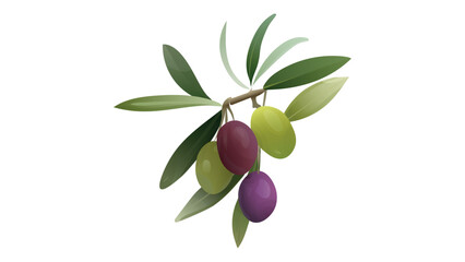 Green and purple olives branch set. Olives twigs with leaves. Best for olive products, farm market products,  design art, drawing clipart, Illustration painting, Graphic logo olive vector.