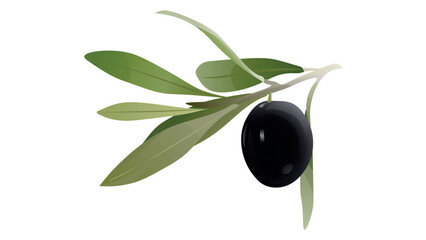 Black whole olive with leaves isolated on white. Olive twigs with leaves. Best for olive products, farm market products,  design art, drawing clipart, Illustration painting, Graphic logo olive vector.