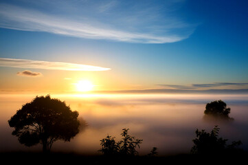 Fog in nature Forested hills surrounded by fog under a cloudy sky And forest covered in fog