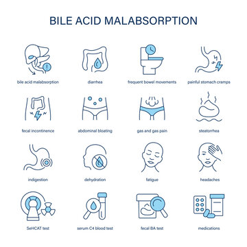 Bile Acid Malabsorption symptoms, diagnostic and treatment vector icon set. Medical icons.