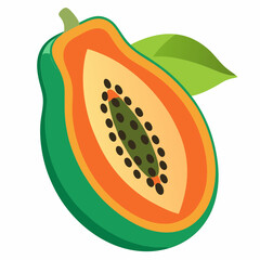 illustration of papaya fruit