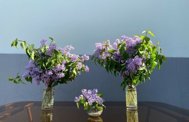 bouquet of lilac in a vase, three vases of spring lilac on the sunlight, spring background for...