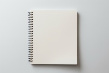 Spiral diary page simplicity.