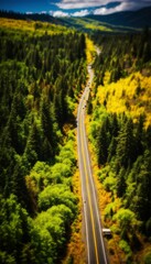 Stunning Nature and Landscape Photography Showcasing the Majestic Beauty of Mountains, Forests