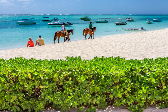 Promenade &agrave; cheval sur plage paradisiaque du morne, &icirc;le ma
