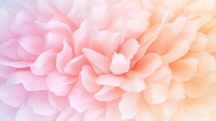 Obraz premium A soft, pastel-hued floral close-up featuring delicate petals blending shades of pink and peach in an ethereal, dreamy composition.