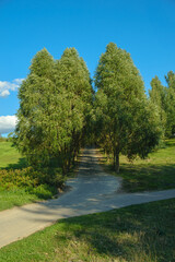 city park jogging path, green trees