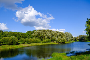 city park with water and big trees