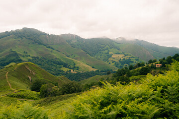 Fototapeta premium Green landscape in the pyrenees with layered mountains, green meadow and flowers