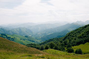 Fototapeta premium green fields nearby Mount Orhi, between Navarre and France