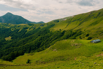 Fototapeta premium green fields nearby Mount Orhi, between Navarre and France