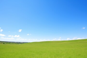 Fototapeta premium Rapeseed field sky landscape outdoors.