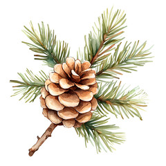 Fototapeta premium pine cones on a white background