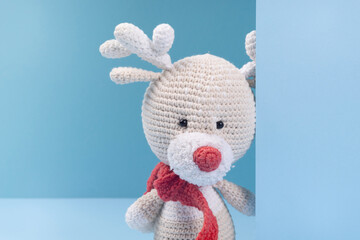 Handmade soft toy on a Blue background