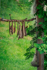 even caught fish hangs between the trees to dry
