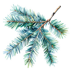 Naklejka premium branches of a pine
