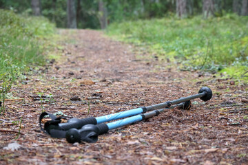 hiking poles on a forest trail background