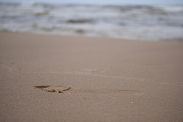 
human footprint in sand with sea background
