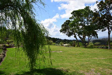 maleny green picture