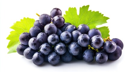 Fototapeta premium Fresh Purple Grapes Close Up with Green Leaves