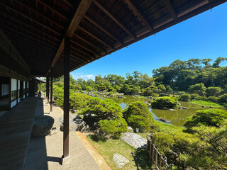 Japanese garden