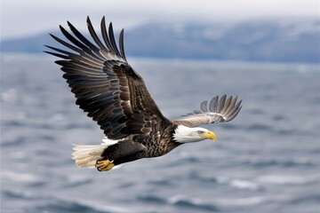 Obraz premium Majestic bald eagle soaring over a vast ocean, wings spread wide, embodying freedom and grace against a backdrop of distant mountains.