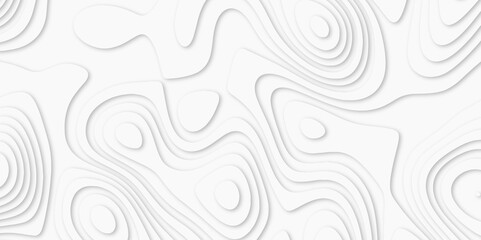 Abstract luxury white modern 3d papercut background. Minimal abstract vector wave carve diamond topography line circle creative topography map circle and wave line smooth multilayer pattern. papercut.