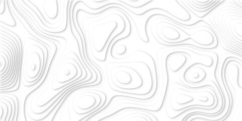 Abstract luxury white modern 3d papercut background. Minimal abstract vector wave carve diamond topography line circle creative topography map circle and wave line smooth multilayer pattern. papercut.