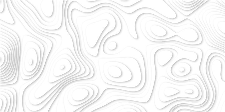 Abstract luxury white modern 3d papercut background. Minimal abstract vector wave carve diamond topography line circle creative topography map circle and wave line smooth multilayer pattern. papercut.