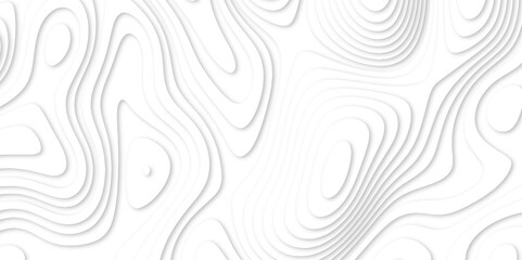 Fototapeta premium Abstract luxury white modern 3d papercut background. Minimal abstract vector wave carve diamond topography line circle creative topography map circle and wave line smooth multilayer pattern. papercut.